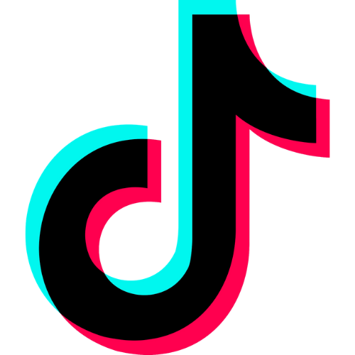 TikTok Logo